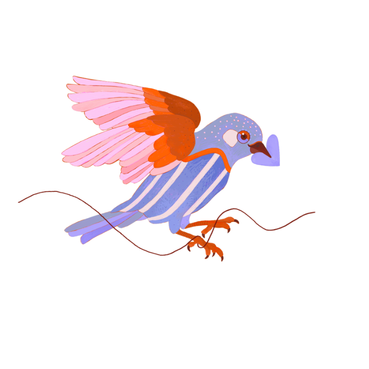 Vogel SLF ICON